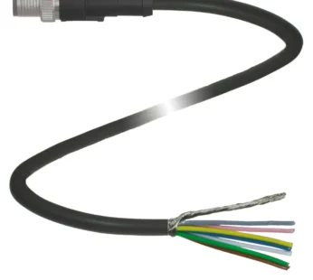 V19SY-G-BK5M-PUR-ABG