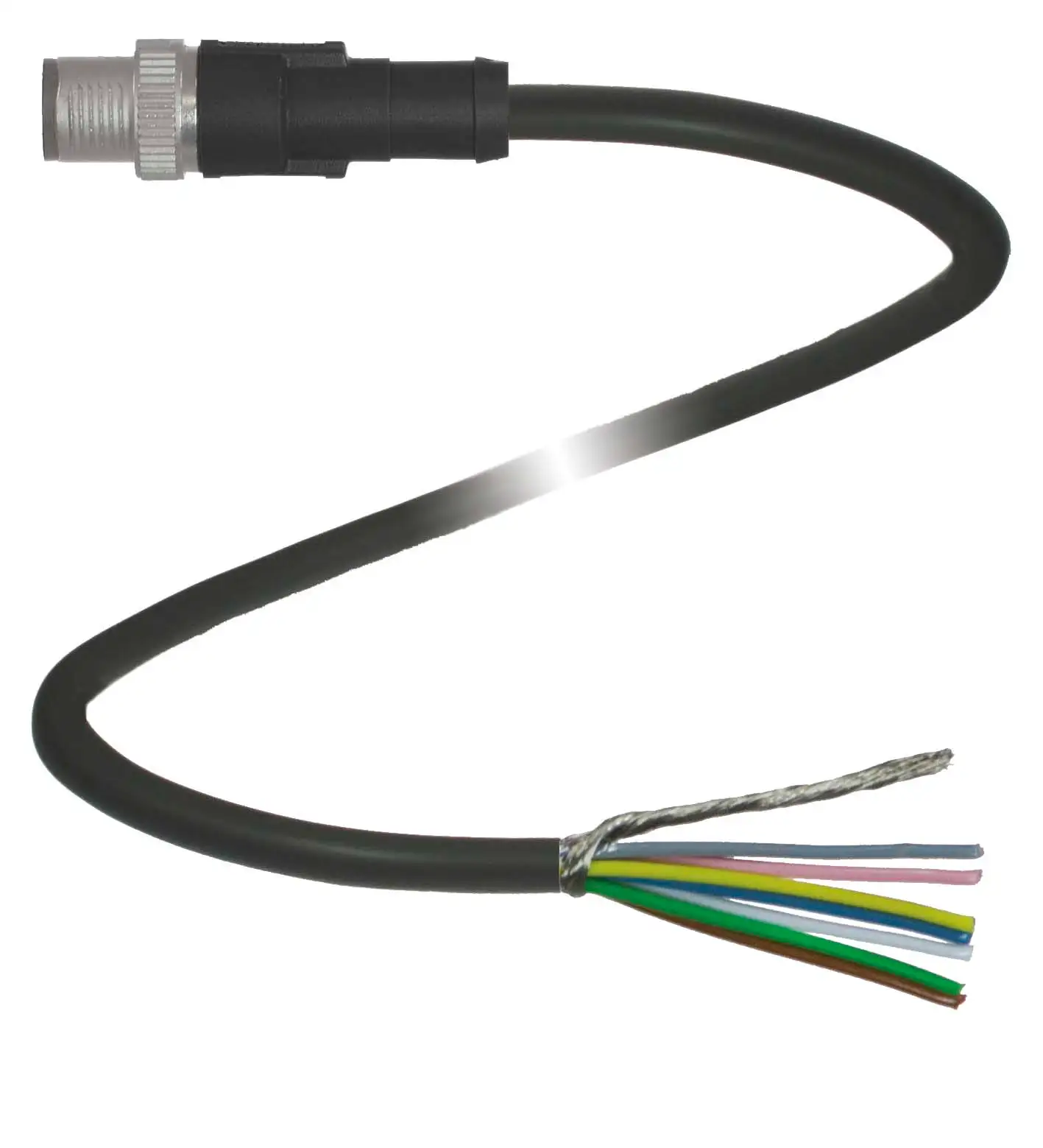 V19SY-G-BK5M-PUR-ABG